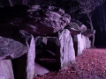 Dolmen de la Roche aux Fées_37